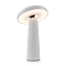 Светильник Freya FR6109TL-L4W