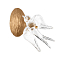 Бра LOFT IT 10378W
