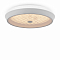 Светильник Freya FR10012CL-L24W
